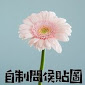 自制問候圖 APK icon
